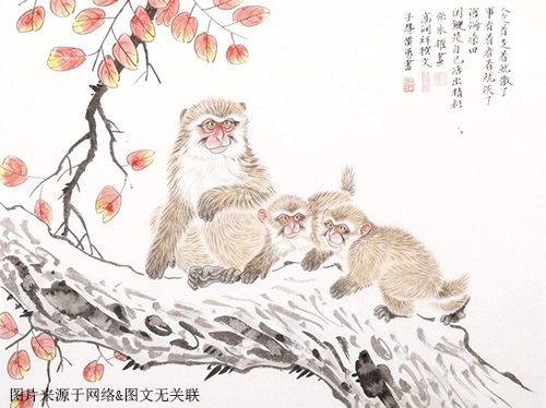 属猴的幸运数字，解读属猴人的幸运秘密
