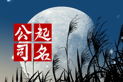 2024好听又聚财的公司名称参考