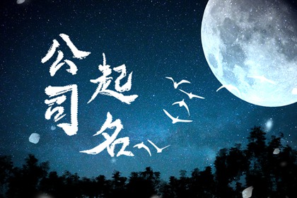 洋气公司名字大全 容易过2024（精选名字）