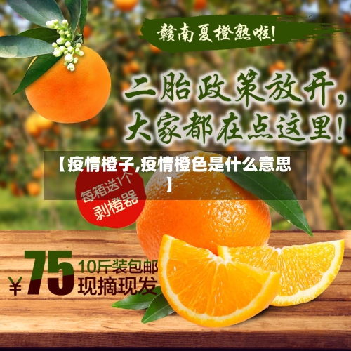 【疫情橙子,疫情橙色是什么意思】