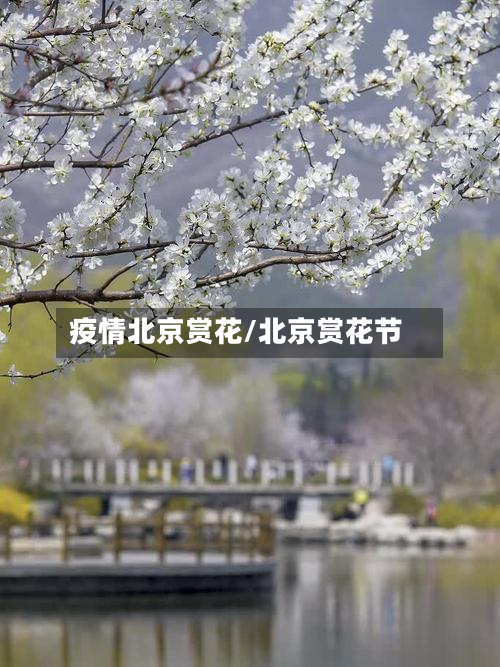 疫情北京赏花/北京赏花节