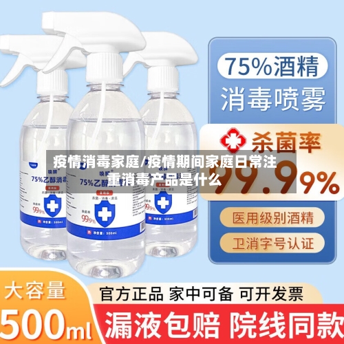 疫情消毒家庭/疫情期间家庭日常注重消毒产品是什么