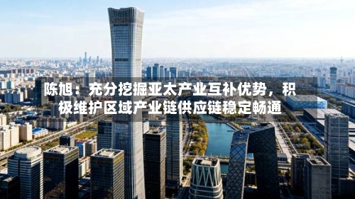 陈旭：充分挖掘亚太产业互补优势，积极维护区域产业链供应链稳定畅通