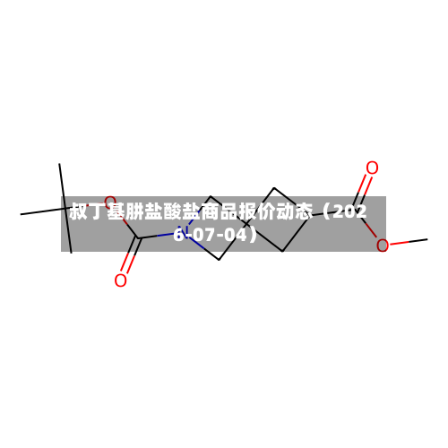 叔丁基肼盐酸盐商品报价动态(2026-07-04)-第1张图片