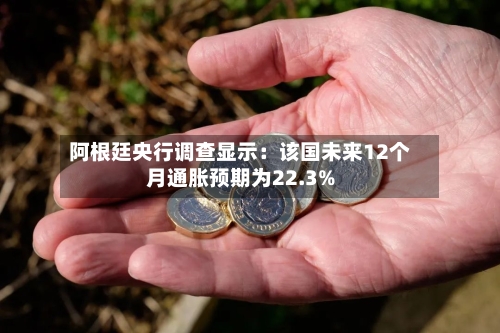 阿根廷央行调查显示:该国未来12个月通胀预期为22.3%