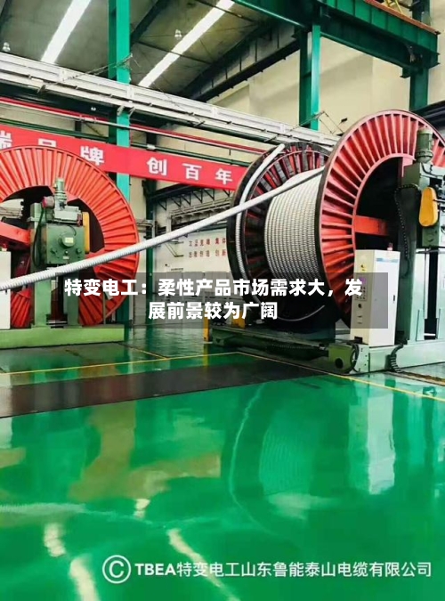 特变电工:柔性产品市场需求大,发展前景较为广阔
