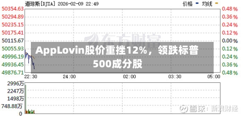 AppLovin股价重挫12%,领跌标普500成分股