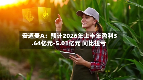 安道麦A:预计2026年上半年盈利3.64亿元-5.01亿元 同比扭亏