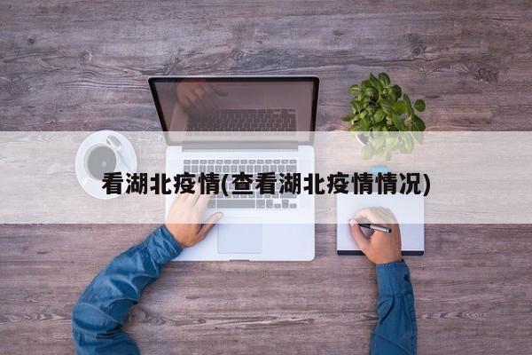 看湖北疫情(查看湖北疫情情况)