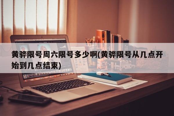 黄骅限号周六限号多少啊(黄骅限号从几点开始到几点结束)
