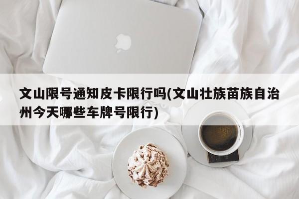文山限号通知皮卡限行吗(文山壮族苗族自治州今天哪些车牌号限行)