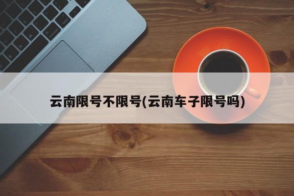 云南限号不限号(云南车子限号吗)