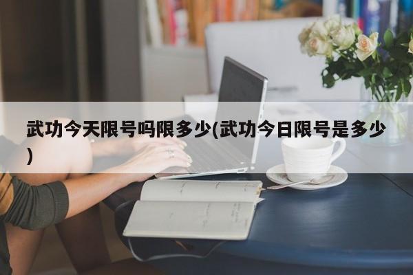 武功今天限号吗限多少(武功今日限号是多少)