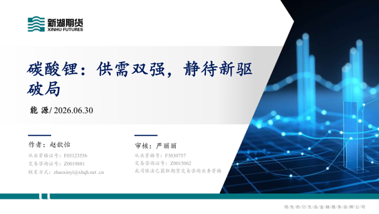 碳酸锂半年报：供需双强，静待新驱破局